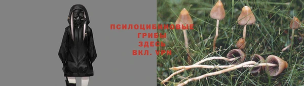 мет Абаза