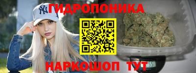ALPHA PVP Ставрополь