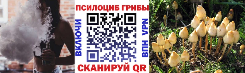 Псилоцибиновые грибы ЛСД  Скопин 