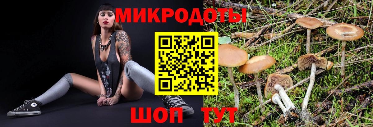 Псилоцибиновые грибы Psilocybine cubensis Скопин